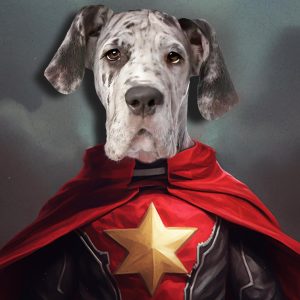 the superpet portrait neil pengelly studios